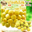 ”紀州・和歌山産 南高梅 完熟” 秀品 4L 約1kg《10キロ以上ご購入で送料無料》【予約 6月以降】