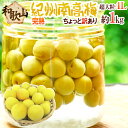 ”紀州・和歌山産 南高梅 完熟” 4L 約1kg ちょっと訳あり《9kg以上ご購入で送料無料&1kgおまけ》【予約 6月以降】