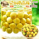 ”紀州・和歌山産 南高梅 完熟” 秀品 L 約1kg《10キロ以上ご購入で送料無料》【予約 6月以降】