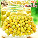 ”紀州・和歌山産 南高梅 完熟” L 約2kg ちょっと訳あり【予約 6月以降】 送料無料