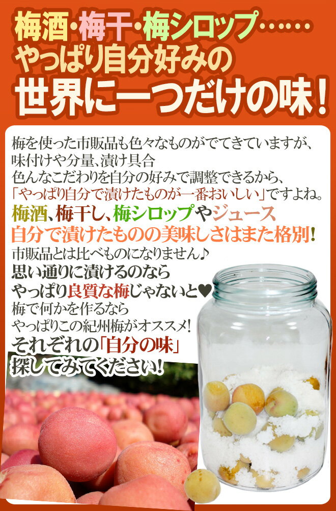 ”紀州・和歌山産 南高梅 完熟” L 約2kg ちょっと訳あり【予約 6月以降】 送料無料