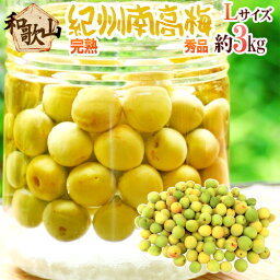 紀州・和歌山産 ”南高梅 完熟” 秀品 L 約3kg【予約 6月以降】 送料無料