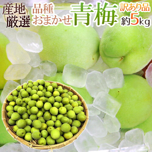 ߡ  5kg ϸ ʼ浪ޤ 礭ޤͽ 5ʹߡ ̵