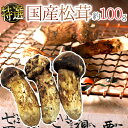 ”国産松茸” 約100g 大きさおまかせ 産地厳選【予約 9月下旬以降】 送料無料