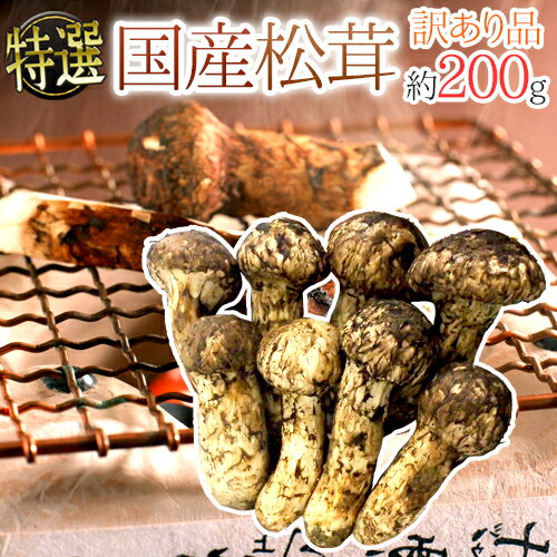 ”国産松茸” 訳あり 約200g 大きさおまかせ 産地厳選【予約 9月下旬以降】 送料無料