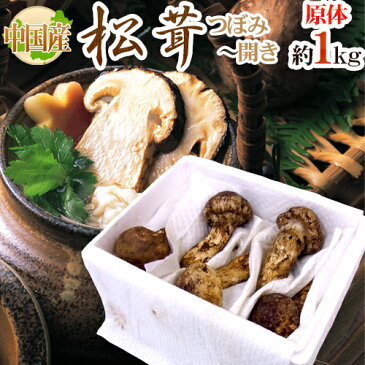 【送料無料】中国産 ”松茸” 約1kg 原体・ほんのちょっと訳あり つぼみ〜開き 大きさおまかせ【予約 7月〜8月以降】