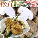 トルコ・モロッコ産 ”松茸” 訳あり 約200g 開き 大きさおまかせ【予約 11月以降】 送料無料