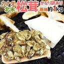 カナダ・北米産 ”松茸” かなり訳あり 約1kg 原体 大きさおまかせ【予約 9月中下旬以降】 送料無料