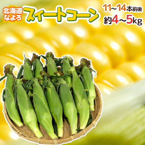 北海道 JA道北なよろ 高糖度とうもろこし ”スイートコーン” 11〜14本前後 約4〜5kg【予約 8月中下旬以降】 送料無料のサムネイル