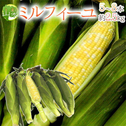 生産地 山梨県 内容量 5〜8本　約2.5kg（生ものですので多少の前後はお許しください） 等級・サイズ 秀品 保存方法 冷蔵庫で保管し、なるべくお早目にお召し上がりください。 送料 送料900円（北海道は送料1,900円、沖縄県は送料2,900円頂戴いたします） 4箱まで同梱可能→1件分の送料で発送できます。 ※送料無料ライン対象商品について 常温配送の商品に限り、3,980円以上のご購入で送料無料！（沖縄県宛は9,800円以上のご購入で送料無料） 但し、1つにまとめて配送できない場合は、別途送料が必要となる場合がございます。 詳細はコチラをご確認ください。 発送予定日及びお届け日のご指定 ◆ 予約商品の場合 ◆ ※ 商品名に【予約】と記載されている商品が予約商品となります。 入荷開始後及び、入荷次第の発送となります。 現在まだ入荷が開始されていない商品につきましては商品タイトルに記載しております時期を目安にお考え下さい。 天候・入荷状況によってはお届け時期が大幅に前後する場合がございます。 また、予約商品についてはお届け日のご指定は不可となっております。 帰省や旅行等で、ご不在でお受け取りが出来ないお日にちがある場合は、ご注文の際にご都合の悪いお日にちを【ご要望欄】にご記入ください。 ご予定が変わった場合もその都度ご連絡いただければ、出来るだけ対応させていただきます。 お届け日の確定・お知らせは発送日当日となります。 どうぞご了承ください。 ◆ 通常商品の場合 ◆ ご注文受付後、1〜5営業日の出荷となります。 入荷状況によってはお待ちいただくこともございます。 なお、ご注文のタイミングによっては即日の発送となる場合もございますのでご都合の悪いお日にち等ございましたらご注文の際、【ご要望欄】にお書き頂きますようお願い申し上げます。 ご希望のお届け日がある場合は【ご要望欄】にその旨ご記入ください。 ※なるべく前もってのご注文をおすすめ致します。 入荷状況によってはご要望にお応えできない場合もございます。 その際は早めにご連絡させていただきます。 配送方法 ヤマト運輸【2.5キロ】