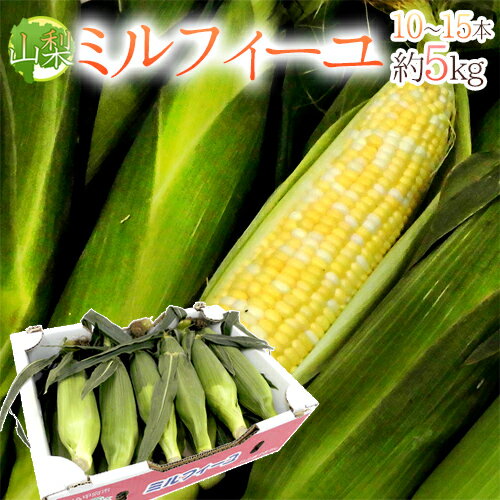 ɻ ߥե 1015 5kg ǿ٤ե롼ĥͽ 5ʹߡ