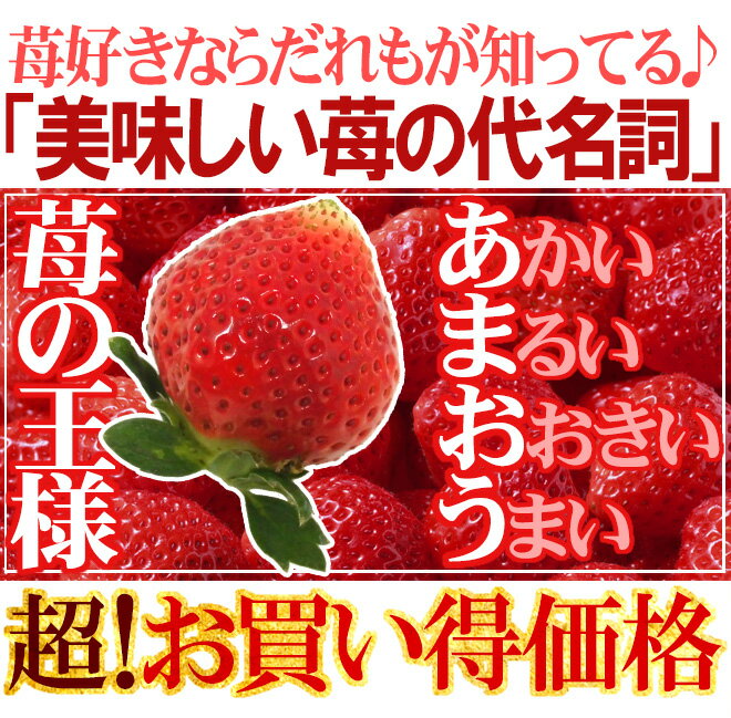 【送料無料】福岡産 博多 ”あまおういちご” 訳あり 約270g×4パック【予約 12月以降】