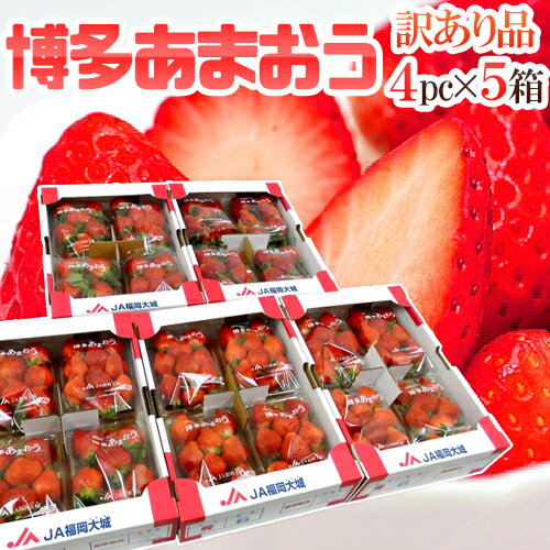 【送料無料】福岡産 博多 ”あまおういちご” 訳あり 約270g×4パック×《5箱》【予約 12月以降】