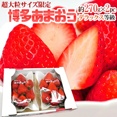 福岡産 博多 ”超大粒 あまおういちご” 等級DX（デラックス） 1箱 約270g（7粒前後）×2パック【予約 1月以降】 送料無料のサムネイル