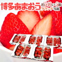 福岡産 博多 ”あまおういちご” 等級G（グランデ） 5箱 10パック入り（1パック約270g）【予約 12月以降】 送料無料