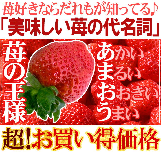 福岡産 博多 ”あまおういちご” 等級G（グランデ） 5箱 10パック入り（1パック約270g）【予約 1月以降】 送料無料
