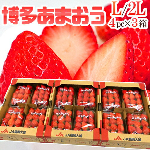 福岡産いちご ”博多あまおう” 秀品 L/2Lサイズ 約270g×4パック×《3箱》【予約 12月以降】 送料無料のサムネイル