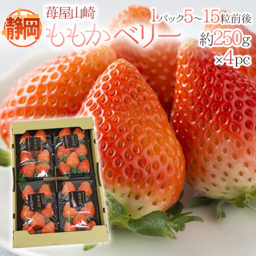 静岡県 ”苺屋山崎 ももかベリー” 秀品 4pc（1pcあたり5～15粒前後 約250g） いちご【予約 1月下旬以降】 送料無料
