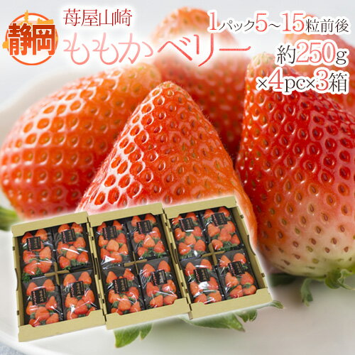 静岡県 ”苺屋山崎 ももかベリー” 秀品 4pc（1pcあたり5〜15粒前後 約250g）×《3箱》 いちご【予約 1月..
