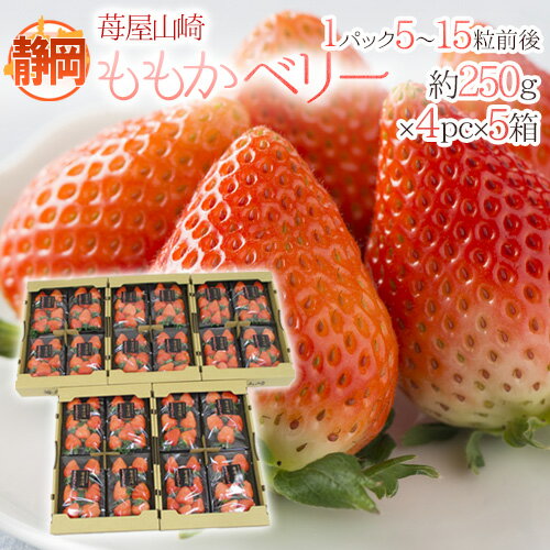 静岡県 ”苺屋山崎 ももかベリー” 秀品 4pc（1pcあたり5～15粒前後 約250g）×《5箱》 いちご【予約 1月下旬以降】 送料無料