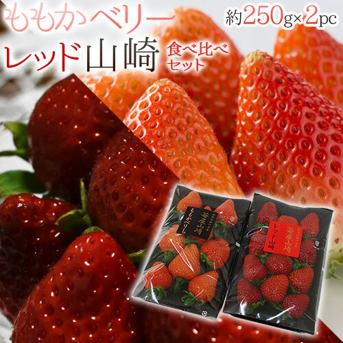 静岡県 ”ももかベリー＋レッド山崎 食べ比べセット” 2pc いちご【予約 2月以降】 送料無料