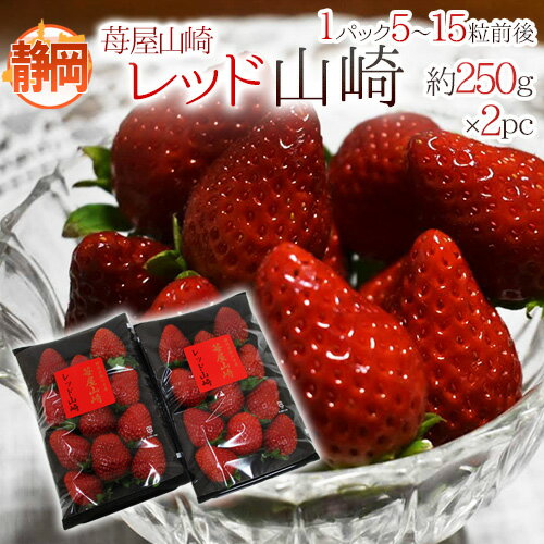 静岡県 ”苺屋山崎 レッド山崎” 秀品 2pc（1pcあたり5〜15粒前後 約250g） いちご【予約 1月下旬以降】 ..