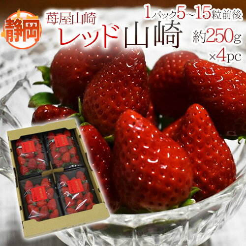 静岡県 ”苺屋山崎 レッド山崎” 秀品 4pc（1pcあたり5〜15粒前後 約250g） いちご【予約 12月下旬以降】 送料無料のサムネイル