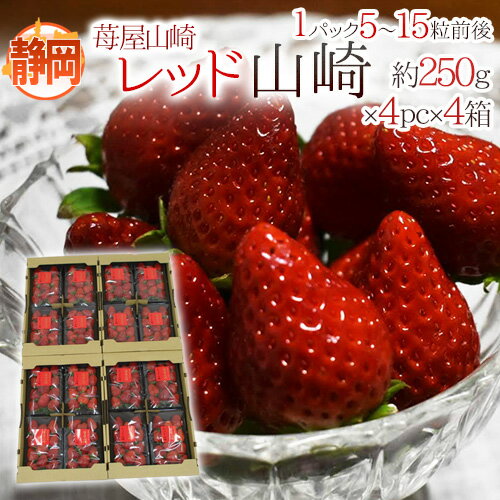 静岡県 ”苺屋山崎 レッド山崎” 秀品 4pc（1pcあたり5〜15粒前後 約250g）×《4箱》 いちご【予約 1月下..