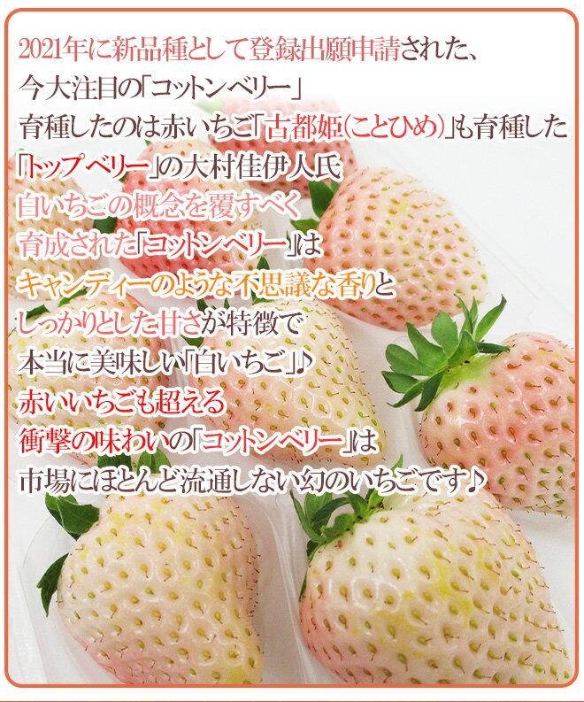 奈良県産 ”白いちご コットンベリー” 2pc（1pcあたり9～15粒前後 約250g）【予約 1月下旬以降】 送料無料
