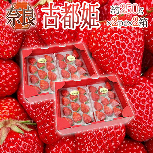 奈良県産 ”古都姫いちご” 2pc×《2箱》（1pcあたり9〜15粒前後 約250g）【予約 1月以降】 送料無料のサムネイル