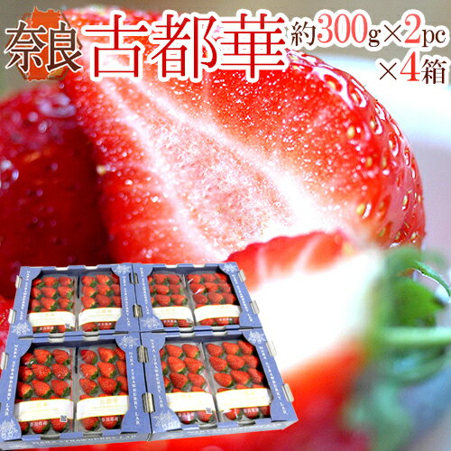 奈良県産 ”古都華いちご” 2pc×《4箱》（1pcあたり 約300g）【予約 12月以降】 送料無料のサムネイル