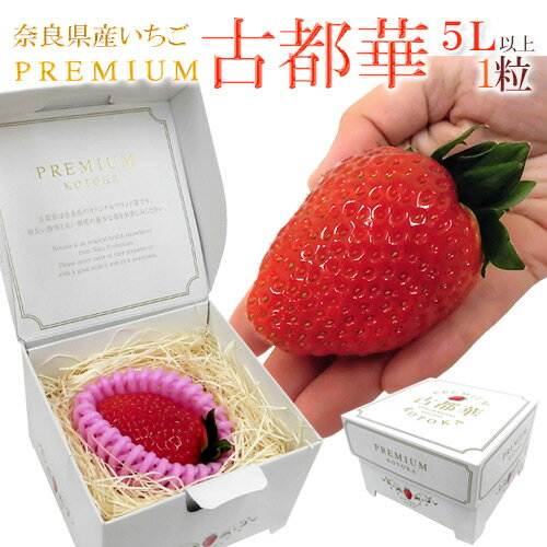 奈良県産 ”プレミアム 古都華いちご” 5Lサイズ 1粒【予約 1月中旬以降】のサムネイル