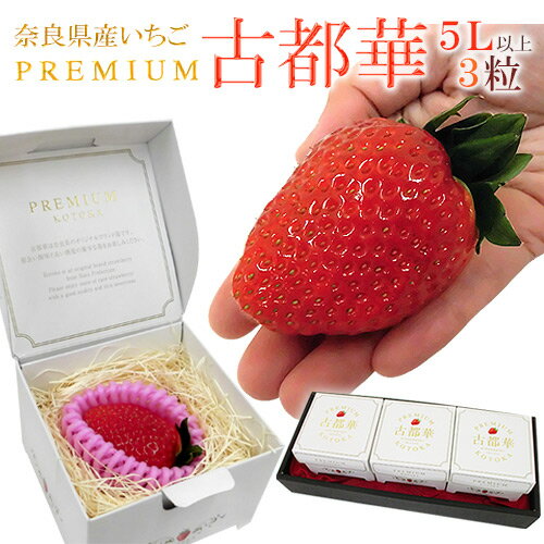 奈良県産 ”プレミアム 古都華いちご” 5Lサイズ 3粒 専用化粧箱【予約 1月中旬以降】 送料無料のサムネイル