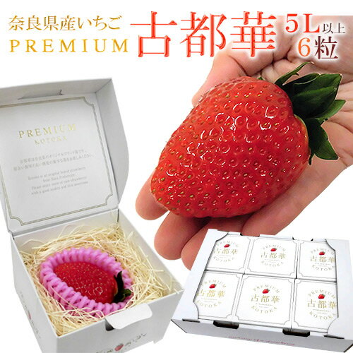 奈良県産 ”プレミアム 古都華いちご” 5Lサイズ 6粒【予約 1月中旬以降】 送料無料のサムネイル