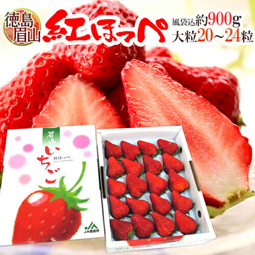 【お届け日指定可能】徳島県 ”眉山産 紅ほっぺ” 化粧箱 大粒20〜24粒 いちご 送料無料のサムネイル