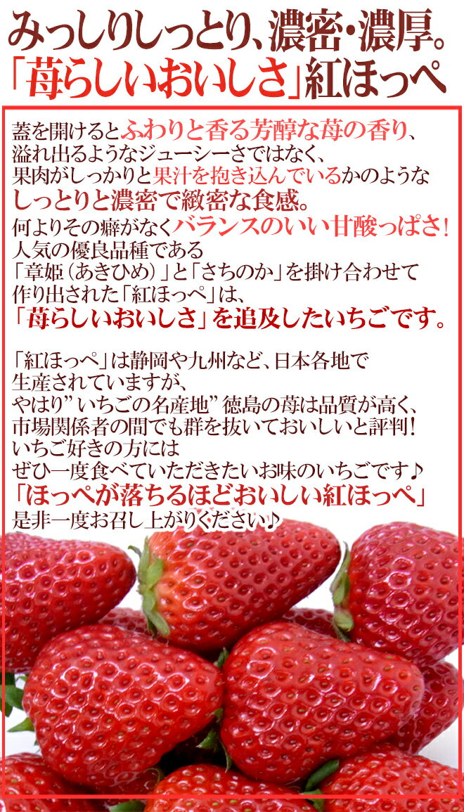 【送料無料】徳島産 ”紅ほっぺ” 大粒 2Lor3Lor大粒○ 約250g×4pc いちご【予約 12月〜4月】