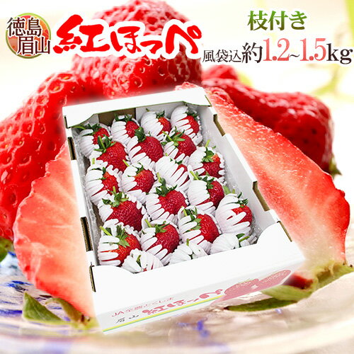 徳島県 眉山産 ”枝付き紅ほっぺ” 約1.2〜1.5kg（風袋込） 大きさおまかせ いちご【予約 1月以降】 送料無料のサムネイル