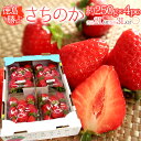 徳島県勝占産 ”さちのか” 2Lor3Lor大粒○ 約250g×4pc いちご【予約 1月以降】 送料無料