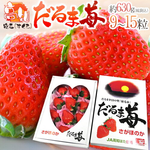 高知県宿毛産 ”だるま苺” 9〜15粒 約630g（風袋込） 化粧箱 いちご【予約 2月以降】 送料無料のサムネイル