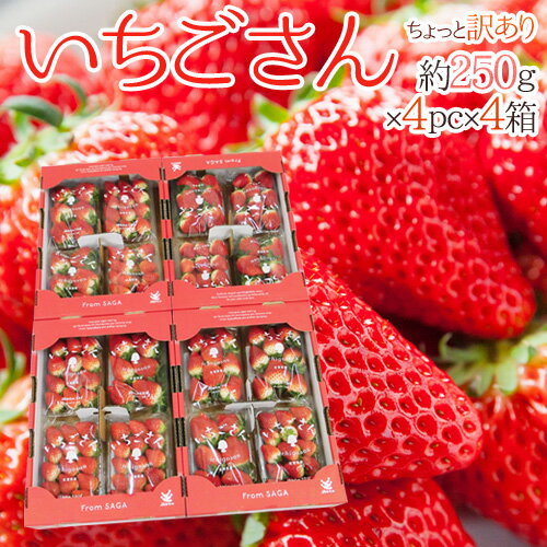 佐賀 ”いちごさん” ちょっと訳あり 約250g×4パック×《4箱》 大きさおまかせ【予約 12月以降】 送料無料