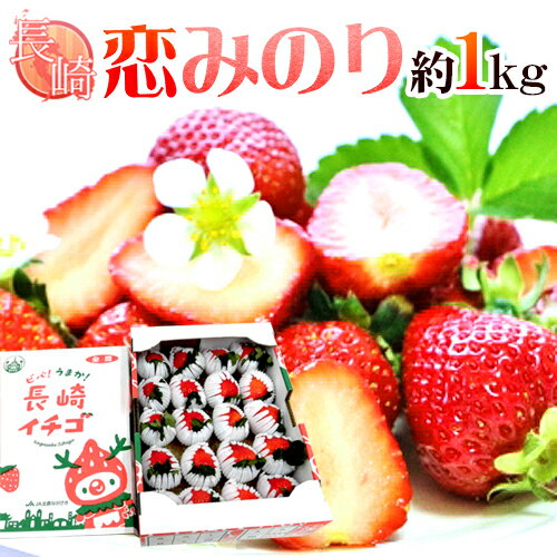 長崎県 ”恋みのりいちご” 秀品 約1kg 大きさおまかせ【予約 2月以降】 送料無料のサムネイル