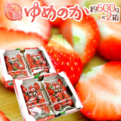 長崎産イチゴ ”ゆめのかいちご” 約600g×2箱（1箱あたり約300g×2pc）【予約 12月以降】 送料無料