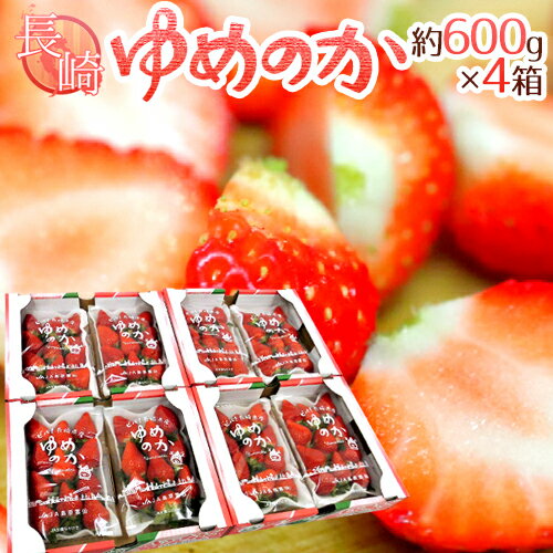 長崎産イチゴ ”ゆめのかいちご” 約600g×4箱（1箱あたり約300g×2pc）【予約 12月～1月以降】 送料無料