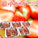 【送料無料】長崎産イチゴ ”ゆめのかいちご” 約600g×5箱（1箱あたり約300g×2pc）【予約 12月〜4月】