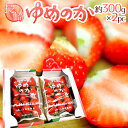 長崎産イチゴ ”ゆめのかいちご” 約300g×2pc 大粒1パック7〜11粒前後 送料無料