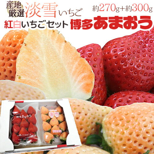 ”白いちご 淡雪いちご＋博多あまおうセット” 2pc（1pcあたり約300g）【予約 12月以降】 送料無料のサムネイル