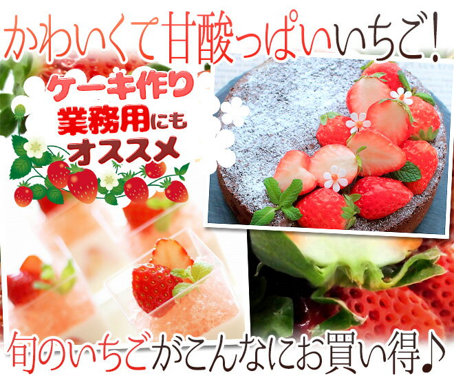 ケーキにピッタリサイズの ”いちご” Sサイズ 約250〜300g 1パック 産地厳選 ケーキ用/製菓用/業務用