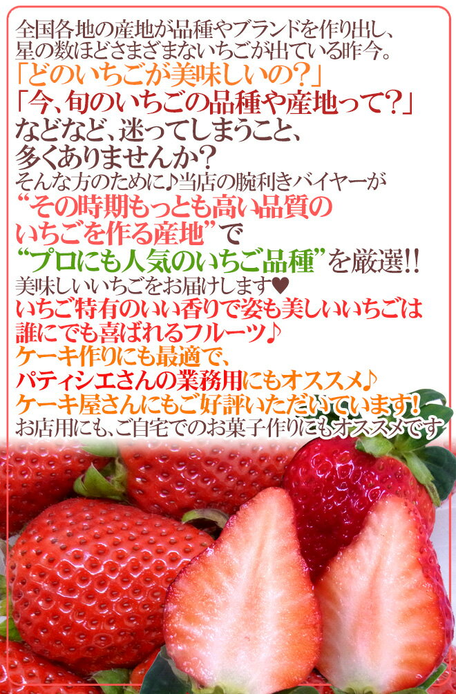ケーキにピッタリサイズの ”いちご” Sサイズ 約250〜300g 1パック 産地厳選 ケーキ用/製菓用/業務用