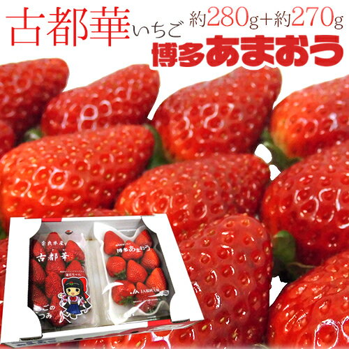 奈良・福岡県産 ”博多あまおう＋古都華いちご 食べ比べセット” 2pc【予約 1月以降】 送料無料