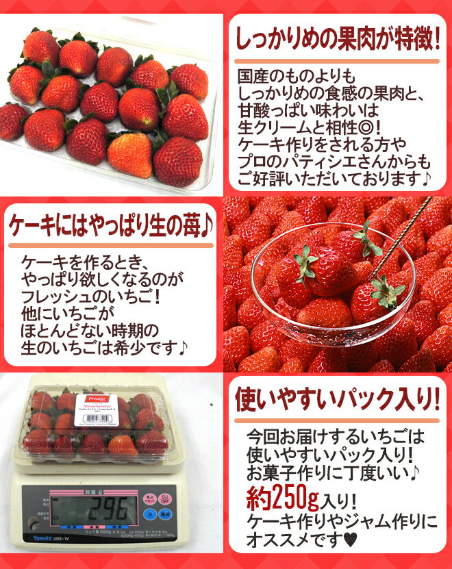 アメリカ産 ”いちご” 15粒前後 約250g【予約 6月下旬以降】